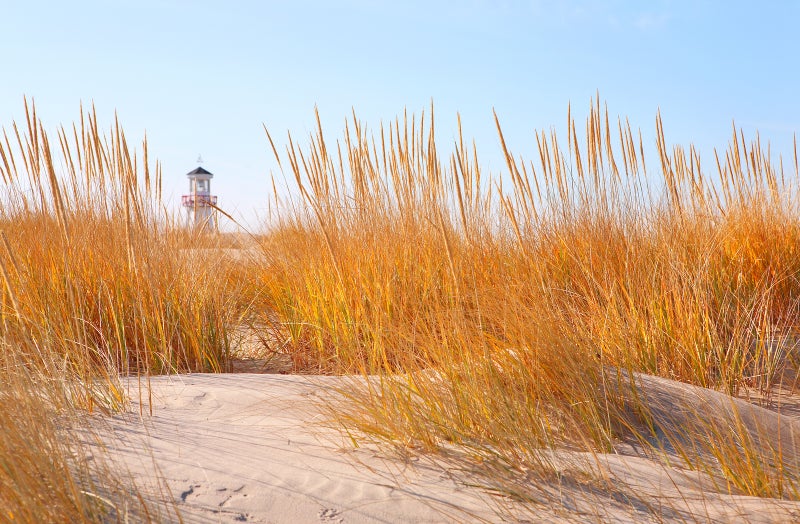 Lake Michigan Real Estate New Buffalo Michigan Lake Michigan Homes